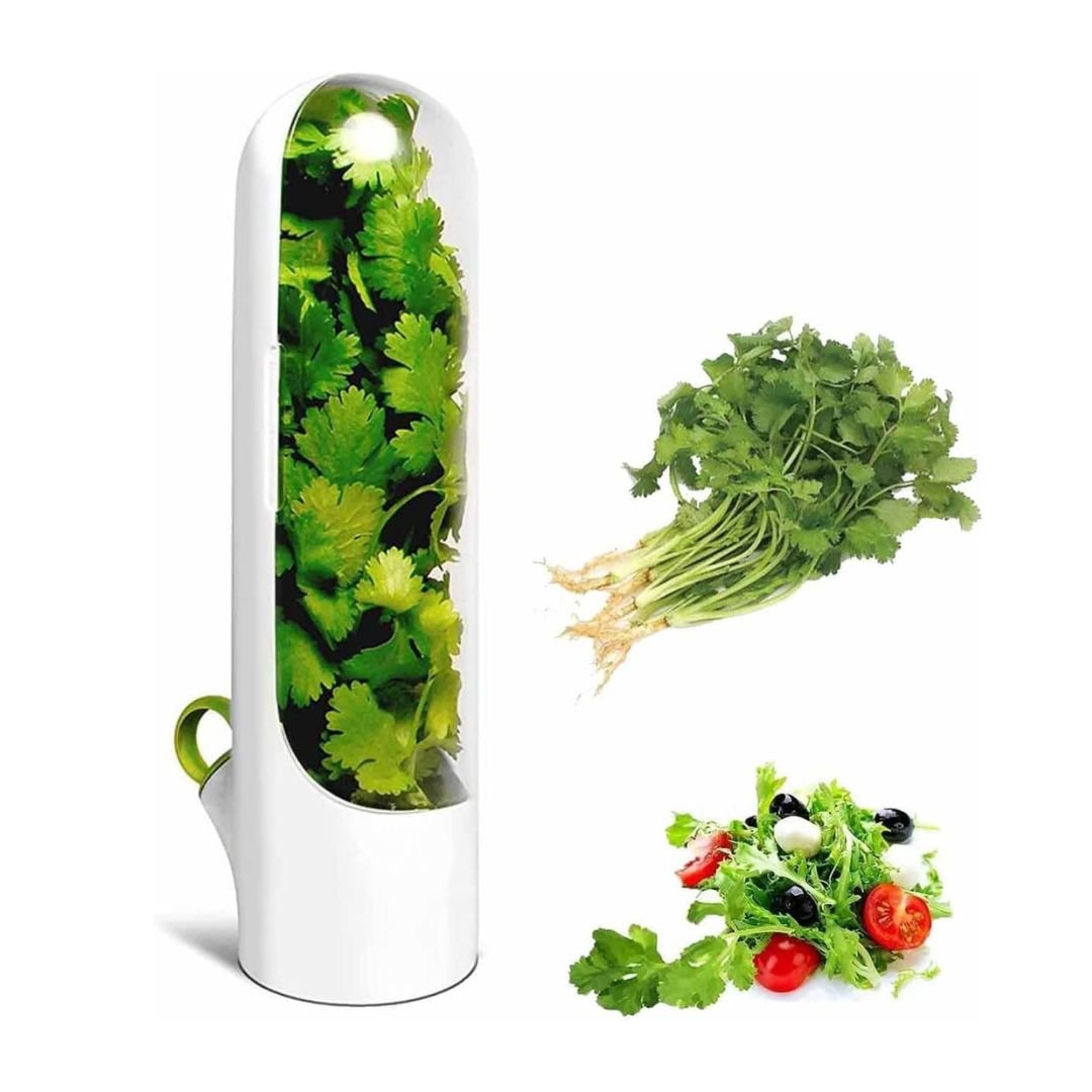 xr:d:DAFVfzqZSaU:786,j:3323694510,t:23020810 Capsule de stockage et conservation d'herbes - الصورة 1